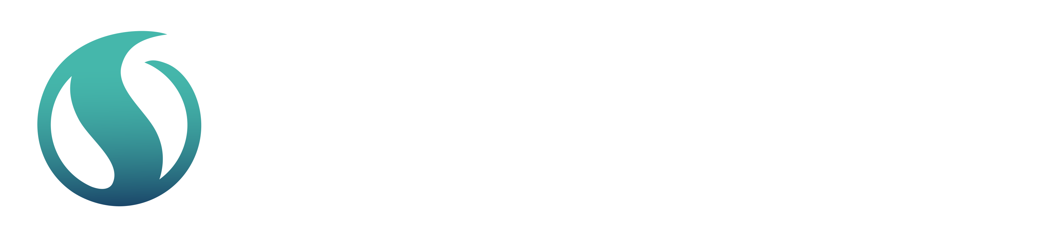 Serwent logo