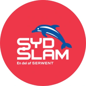 Sydslam